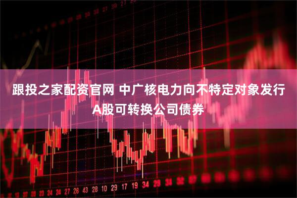 跟投之家配资官网 中广核电力向不特定对象发行A股可转换公司债券