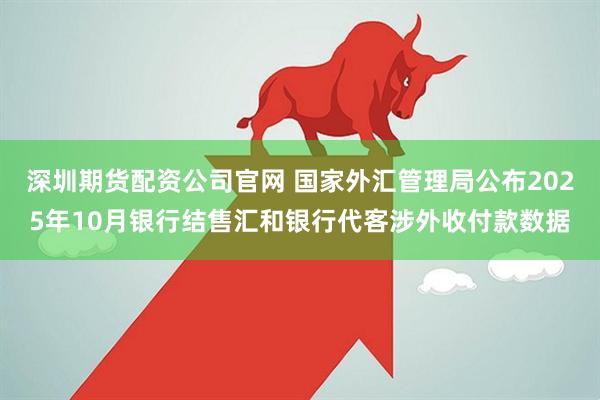 深圳期货配资公司官网 国家外汇管理局公布2025年10月银行结售汇和银行代客涉外收付款数据
