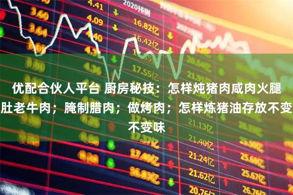 优配合伙人平台 厨房秘技：怎样炖猪肉咸肉火腿猪肚老牛肉；腌制腊肉；做烤肉；怎样炼猪油存放不变味