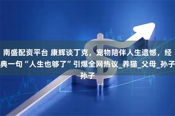 南盛配资平台 康辉谈丁克，宠物陪伴人生遗憾，经典一句“人生也够了”引爆全网热议_养猫_父母_孙子