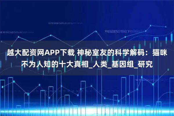 越大配资网APP下载 神秘室友的科学解码：猫咪不为人知的十大真相_人类_基因组_研究
